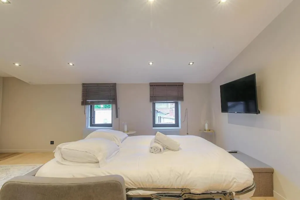 Superbe Appartement Renove Et Lumineux, Salvagny La Tour-de-Salvagny 0*,  France